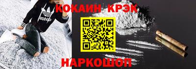 прущие грибы Новозыбков