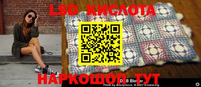 прущие грибы Новозыбков