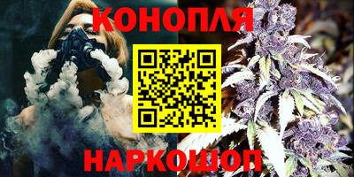 прущие грибы Новозыбков