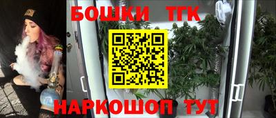 прущие грибы Новозыбков