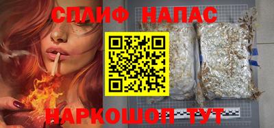 прущие грибы Новозыбков