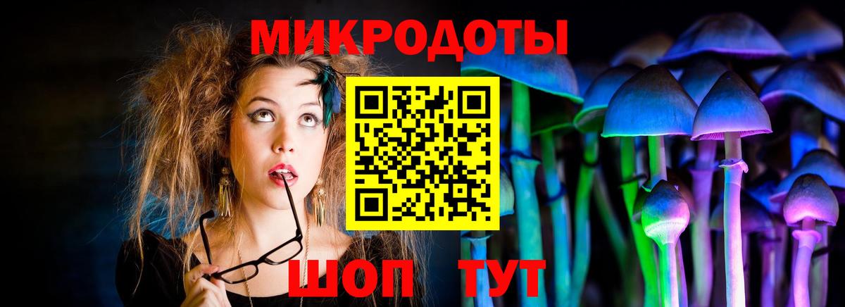 Псилоцибиновые грибы GOLDEN TEACHER Сибай